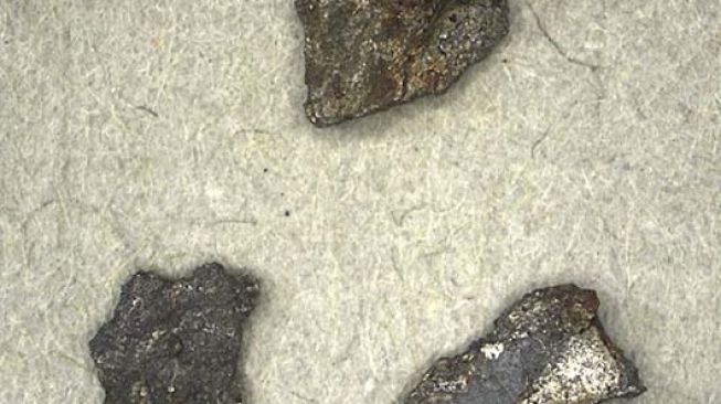 Penemuan meteorit di Swedia. [Swedish Museum of Natural History]