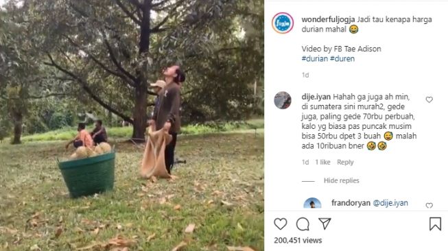 Viral Video Pria Panen Buah Durian, Cara Menangkapnya Bikin Warganet Ngilu - Suara.com