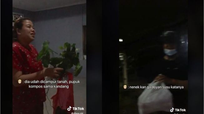 Viral Pria Ngapel Pacar Bawa Pupuk dan Tanaman (tiktok.com/dhea.ptr_)