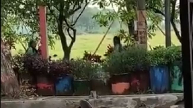 Viral Dua Ojol Kepergok Asyik Bermain di Taman, Publik Malah Terharu