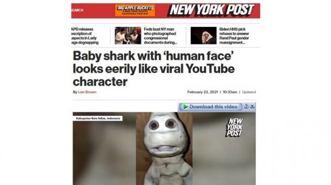 Anakan hiu unik muncul sebagai kabar viral di New York, oleh nypost.com [screen shot nypost.com].