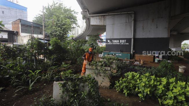 Petugas PPSU merawat tanaman di Taman Bibit Kelurahan Kebayoran Lama Utara, Jakarta, Minggu (28/2/2021). [Suara.com/Angga Budhiyanto]