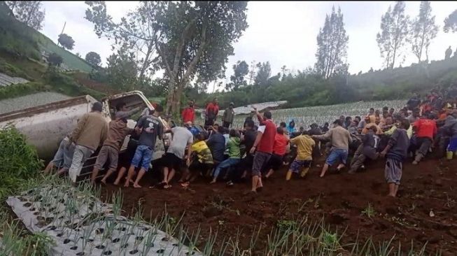 Indonesia Banget! Ratusan Orang Tarik Truk Terguling di Sebuah Kebun Kol