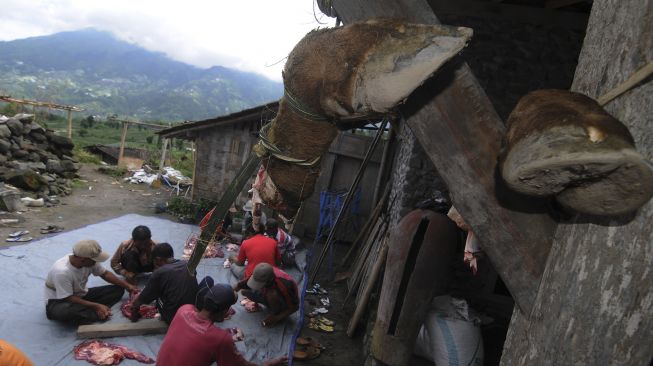 Tradisi Potong Sapi Rejeb Warga Kaki Gunung Merapi