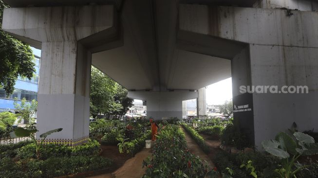 Percantik Kolong Jalan Layang Kebayoran Lama dengan Tanaman Hias