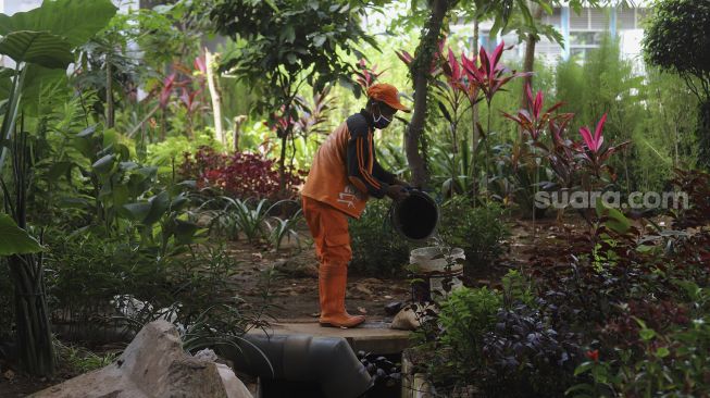 Petugas PPSU mengambil air yang akan digunakan untuk menyiram tanaman di Taman Bibit Kelurahan Kebayoran Lama Utara, Jakarta, Minggu (28/2/2021). [Suara.com/Angga Budhiyanto]