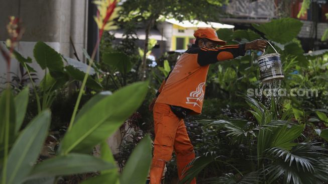 Petugas PPSU merawat tanaman di Taman Bibit Kelurahan Kebayoran Lama Utara, Jakarta, Minggu (28/2/2021). [Suara.com/Angga Budhiyanto]