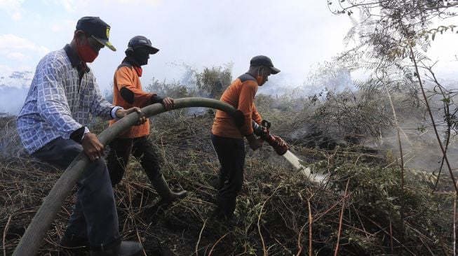 Petugas pemadam kebakaran melakukan proses pemadaman lahan gambut yang terbakar di kawasan perbatasan Kabupaten Aceh Barat dan Kabupaten Nagan Raya, Aceh, Minggu (28/2/2021). [ANTARA FOTO/Syifa Yulinnas]