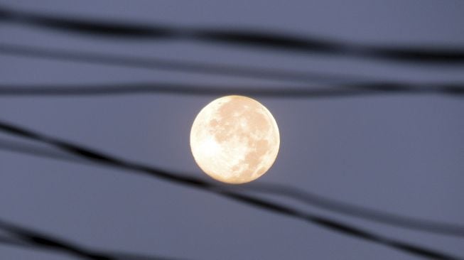 Bulan purnama terlihat di langit kawasan Depok, Jawa Barat, Minggu (28/2/2021). [ANTARA FOTO/Yulius Satria Wijaya]