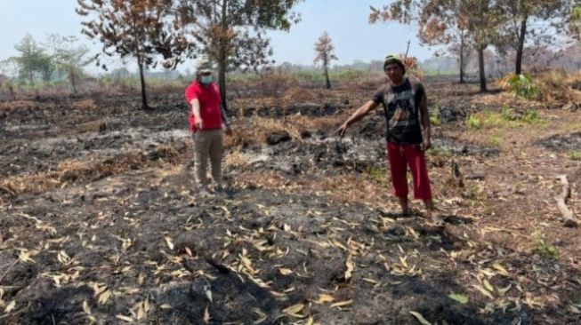 Lahan gambut terbakar gegara ulah SB, seorang warga Pontianak. (ist)