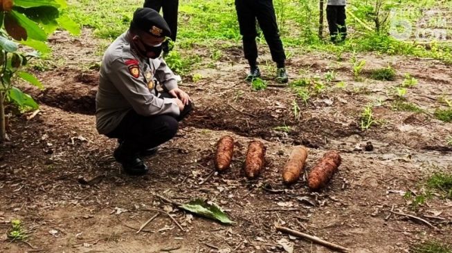 Ke Kebun, Suwito Warga Ponorogo Ini Nemu Mortir di Ladang, Digali Sendirian