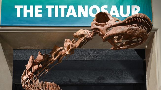 Ditemukan! Fosil Jenis Titanosaurus Tertua di Dunia