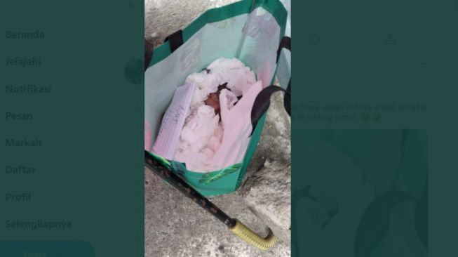 Mengira Tas Biasa, Anak-Anak Temukan Bayi Meninggal Dikerubuti Semut