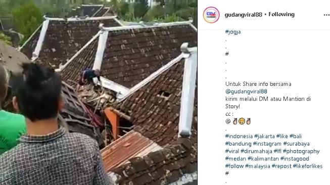 Truk muatan kayu gelondongan alami kecelakaan (instagram.com/@gudangviral88)