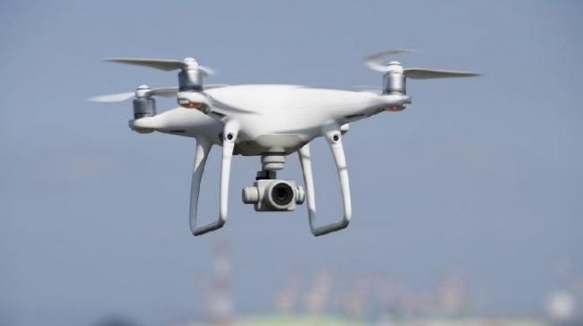 Ilmuwan Ciptakan Drone Berukuran Serangga