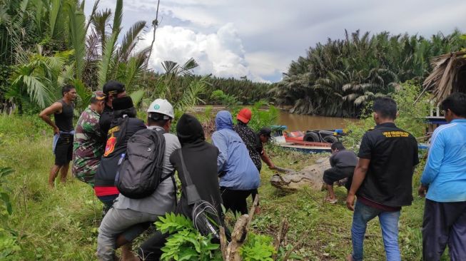 Buaya yang memangsa Dimas berhasil ditemukan warga, tak jauh dari lokasi kejadian. [Istimewa]