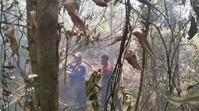 Waduh! Lahan Gambut di Siak yang Pernah Dipadamkan Terbakar Lagi