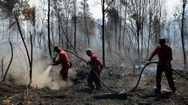 Sejumlah petugas BBKSDA Riau mencoba memadamkan kebakaran di kawasan Suaka Margasatwa Giam Siak Kecil, Kabupaten Bengkalis, Provinsi Riau, Selasa (2/3/2021). [Antara Foto/BBKSDA Riau)