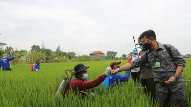 Untuk Kuatkan Eksistensi Pertanian, Kementan Lakukan Gerakan Padat Karya