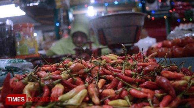 Petani Jatim Prediksi Harga Cabai Mulai Normal Pertengahan Maret 2021