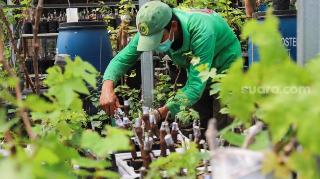 Sektor Agribisnis Tetap Prospektif di Tahun 2021