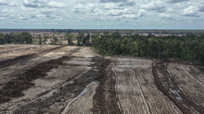 Foto udara areal lumbung pangan nasional 'food estate' komoditas singkong di Tewai Baru, Kabupaten Gunung Mas, Kalimantan Tengah, Sabtu (6/3/2021). [ANTARA FOTO/Makna Zaezar]