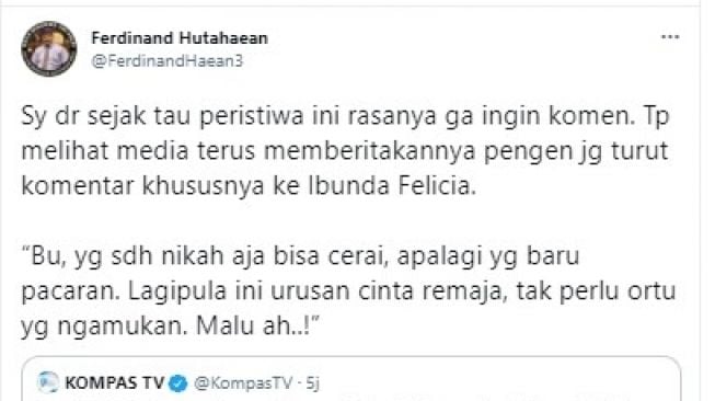 Mantan Politisi Demokrat Ferdinand Hutahaean semprot ibunda Felicia Tissue, Meilia Lau. Dia menilai Meilia Lau berlebihan ngamuk karena anaknya ditinggal Kaesang Pangarep. 