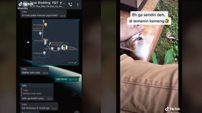 Calon Istri Dipingit, Pria Ini Berakhir Makan Ditemani Kucing (tiktok.com/@vairlyks)