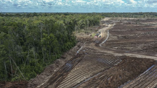 Foto udara areal lumbung pangan nasional 'food estate' komoditas singkong di Tewai Baru, Kabupaten Gunung Mas, Kalimantan Tengah, Sabtu (6/3/2021). [ANTARA FOTO/Makna Zaezar]