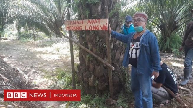 Portal Jalan Desa dan Ancaman Pidana Masyarakat Dayak Modang Long Wai