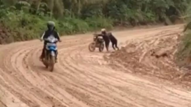 Potret Harga Diri Motor Trail Jatuh Gara-gara Motor Bebek, Ini Videonya