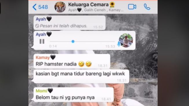 Viral Kabar Duka Diumumkan di Grup WA Keluarga, Bukan Manusia