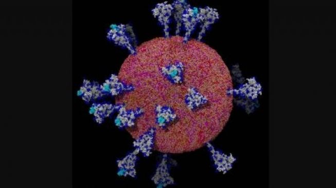 Ditemukan Varian Baru Covid, Ahli Mikrobiologi: Sumsel Cukup 1 Juta Vaksin