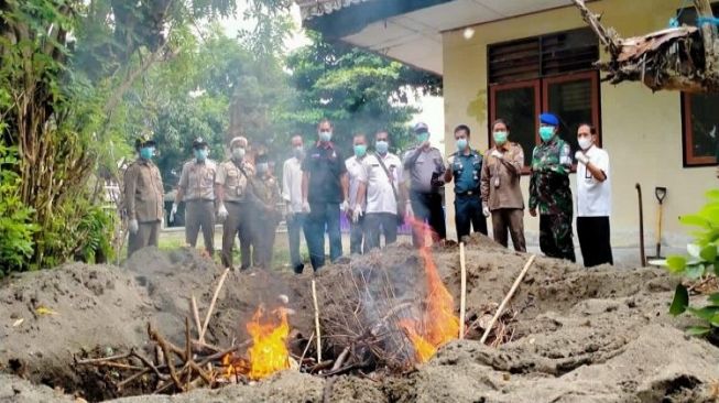 Penemuan 1,7 Ton Daging Babi Ilegal dalam Mobil Box