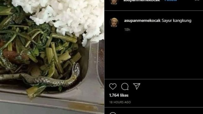 Mau Makan Siang, Warganet Temukan Anak Ular Mati di Sayur Kangkung