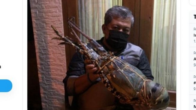 Niat Pamer Lobster Sebesar Bayi, Fahri Hamzah Diceramahi Susi Pudjiastuti