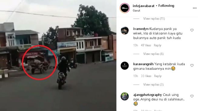 Kuda tanpa kusir tabrak pemotor (instagram.com/@infojawabarat)