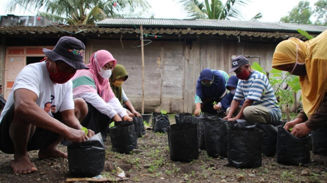 Kebun PKH Lansia Boyolali. (Dok. Kemensos)