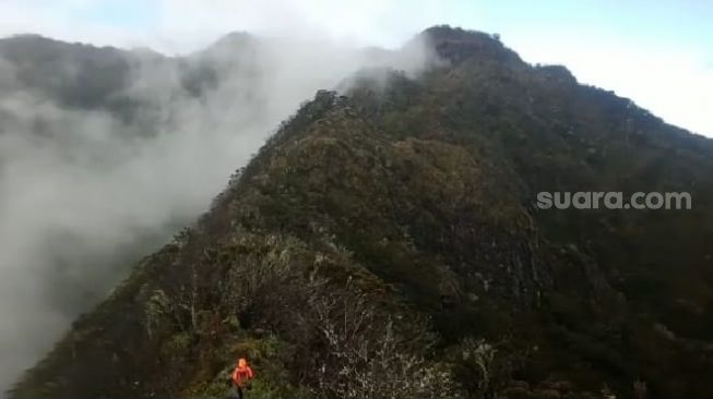 Anggota Basarnas Sulsel menuju lokasi jatuhnya pendaki di Gunung Lompobattang, Sulawesi Selatan / [SuaraSulsel.id / Basarnas Sulsel]