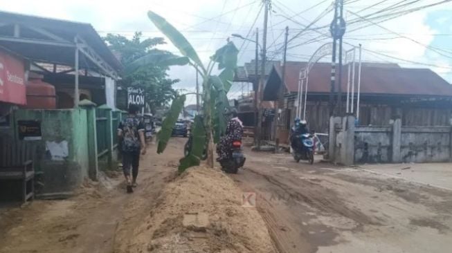 Puncak Protes Warga, Pohon Pisang Dibiarkan Tumbuh di Tengah Jalan