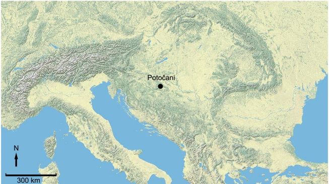 Pembantaian massal 6.200 tahun lalu di Kroasia. [Plos org]