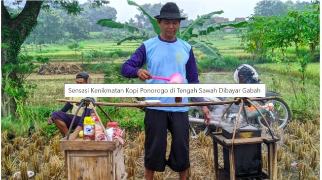 Sensasi Nyeruput Kopi di Tengah Sawah Ponorogo, Bayarnya Barter Gabah