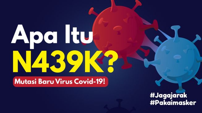 INFOGRAFIS: Apa Itu N439K? Mutasi Baru Virus Covid-19!