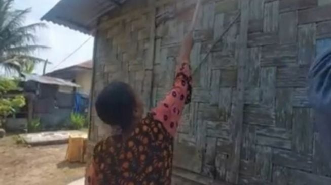 Duh! Ribuan Ulat Bulu Teror Rumah Warga di Tebing Tinggi