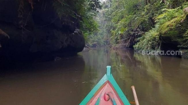 Desa Rantau Langsat di Kecamatan Batang Gansal, Kabupaten Indragiri Hulu, Provinsi Riau [SuaraRiau.id / Istimewa]