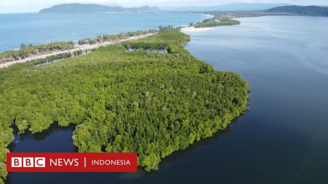 Hari Air Sedunia: Hutan Perempuan Papua, Surga Kecil yang Dirusak Manusia