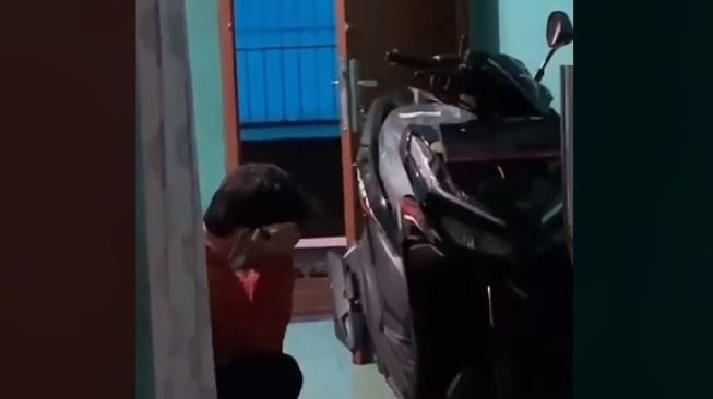 Kakak Belikan Motor untuk Adiknya yang Sering Dibully, Videonya Bikin Mewek