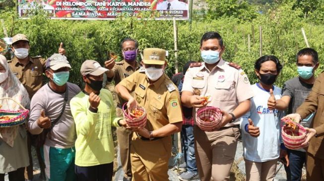 Panen Cabai, Wawali Rusmadi Ingatkan Lahan Produktif Jangan Beralih Fungsi