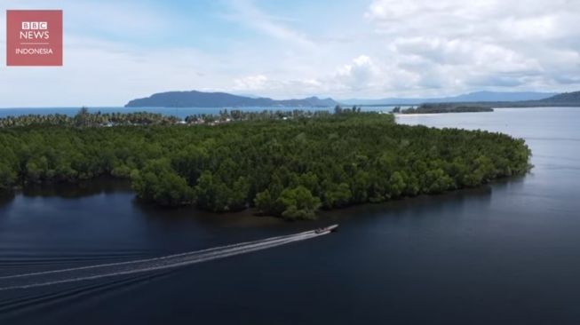 Hutan Perempuan di Papua: Tercemar Lingkungan dan Pembangunan Infrastruktur