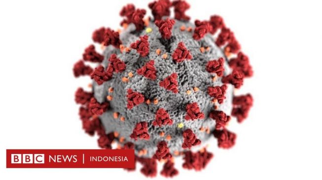 Covid-19: Mutasi Ganda Varian Virus Corona Ditemukan di India